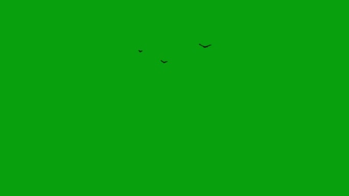 飞鸟绿屏运动图形飞鸟群抠图鸟群元素鸟盘旋