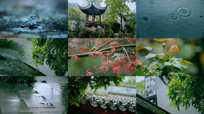 清明下雨水面禅意节气下雨清明谷雨下雨春雨