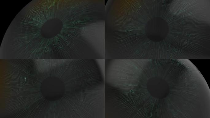 数字眼虹膜连接视野眼睛特写瞳孔