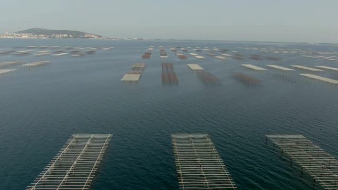 在Etang de Thau湖上Sete市附近的有机牡蛎养殖场进行空中拍摄