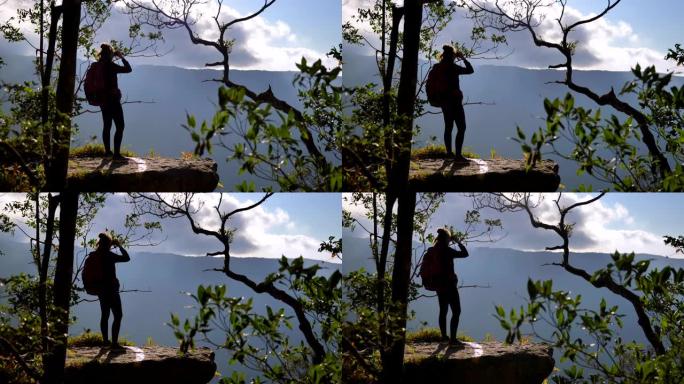 女人在森林中使用双筒望远镜的场景，女人旅行和使用双筒望远镜在森林中寻找鸟，慢动作