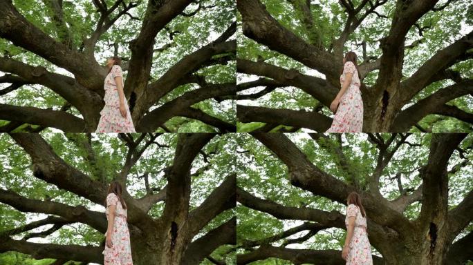 场景慢动作的亚洲女人在美丽的大树下行走