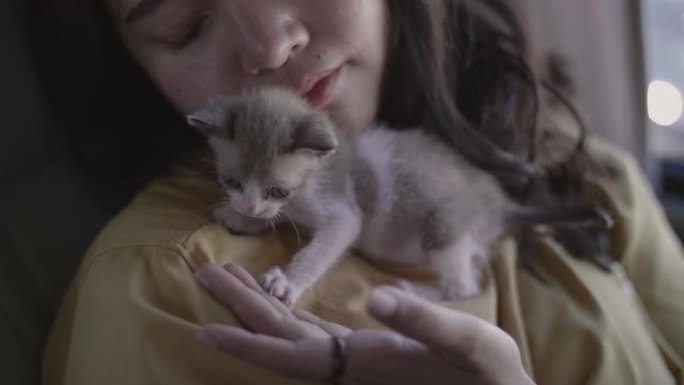 年轻女子拥抱小收养的小猫。