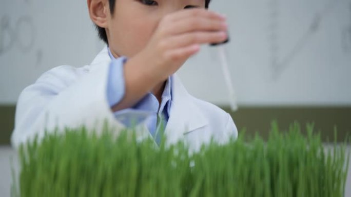 亚洲孩子在教室里实验农业。学生提取叶绿素与绿色植物一起在智能农业中。教育、农业和技术的概念。