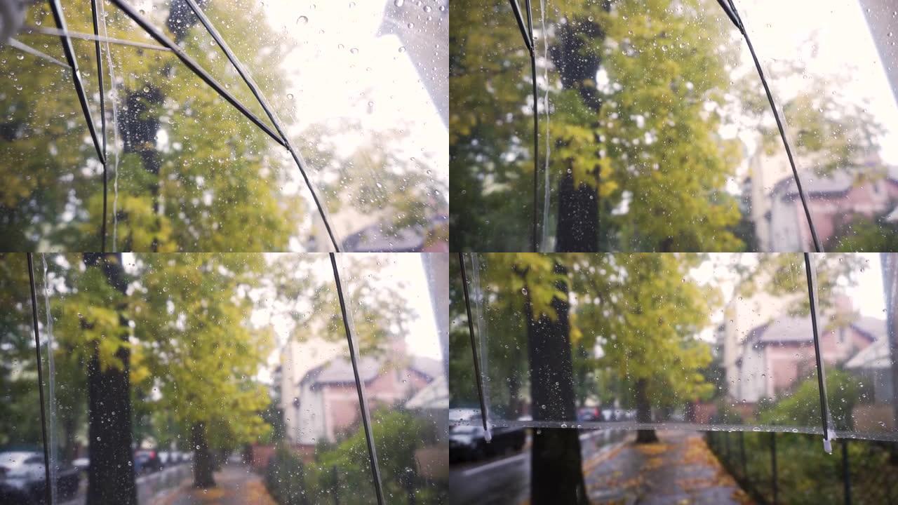 室外街道上，雨水滴落在透明的雨伞上。秋季天气