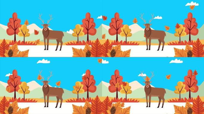 你好，秋季动画，驯鹿在风景中
