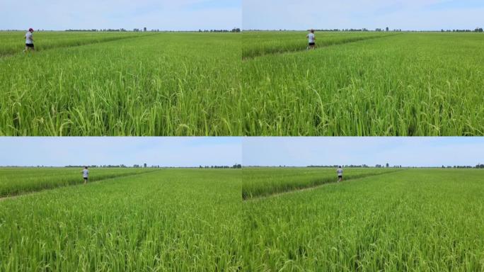 亚洲青年体育男子跑步的鸟瞰图