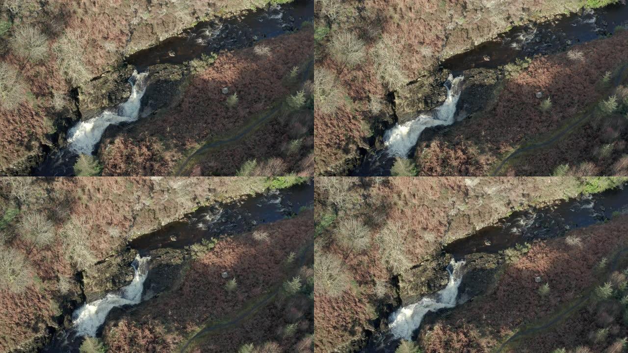 穿过邓弗里斯和加洛韦的松树林地区的河流的高角度视图