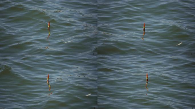 一只钓鱼浮子在海浪上漂浮在水中