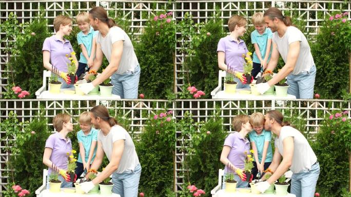 男孩孩子帮助父母在花盆里种花。园艺、种植概念