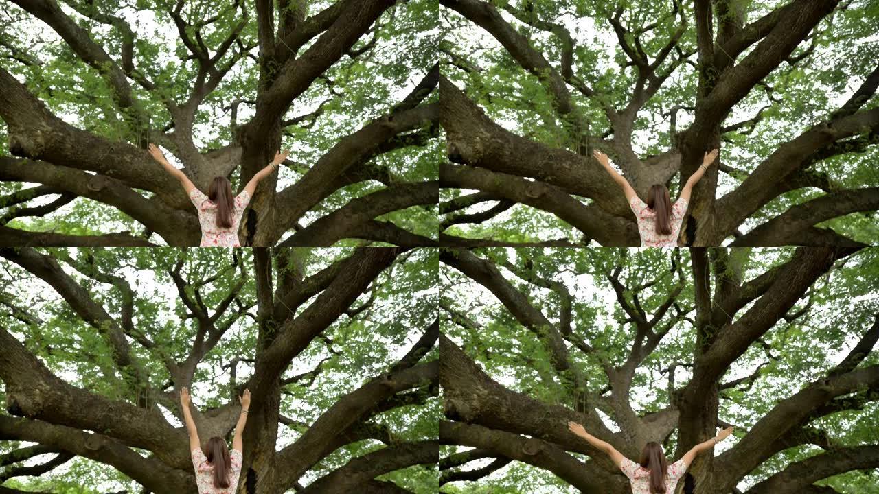 场景慢动作的亚洲女人在一棵美丽的大树下举起双手，同时感到放松