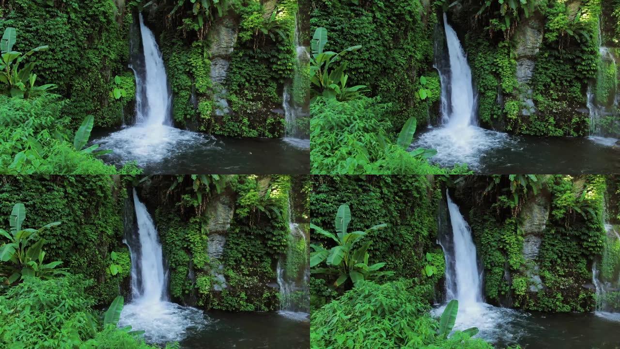 印度尼西亚巴厘岛热带植物和绿叶之间的瀑布。美妙的山溪，飞溅的水从高处流出。