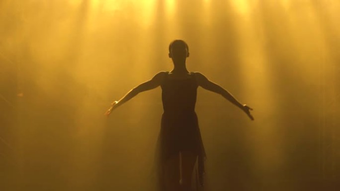 专业芭蕾舞演员在舞台上的聚光灯和烟雾中跳舞芭蕾舞。美丽苗条身材的剪影