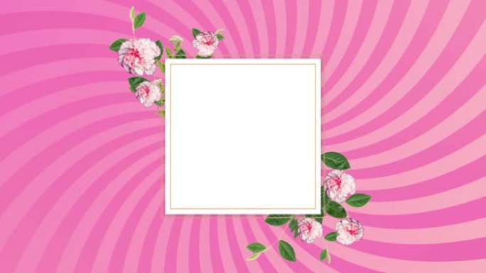 白色正方形，叶子和花朵在旋转的粉红色条纹上