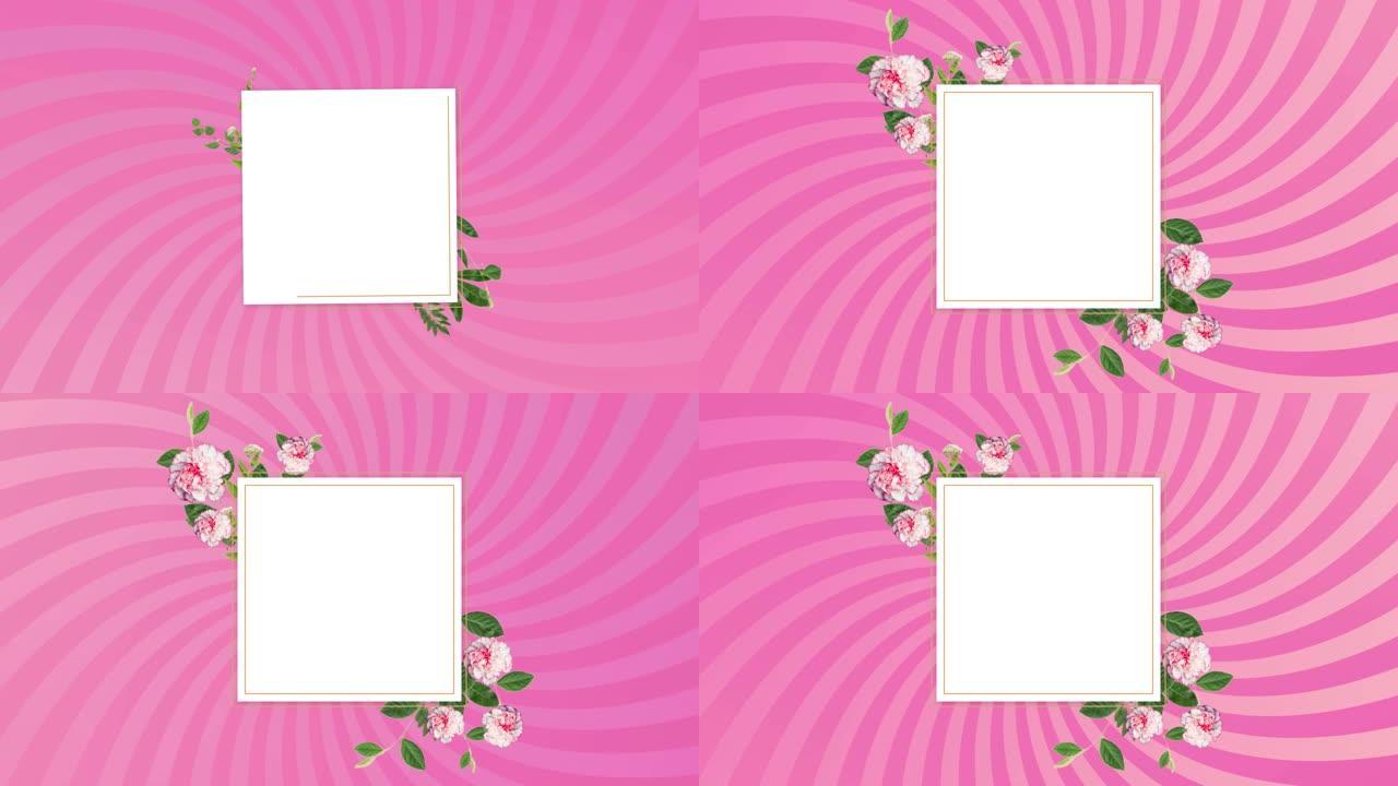 白色正方形，叶子和花朵在旋转的粉红色条纹上