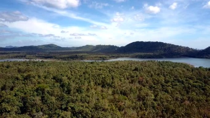 森林后面的安静湖和大山全景