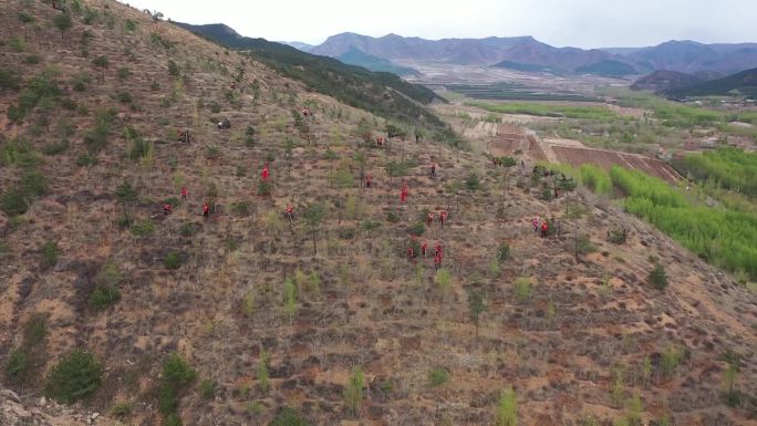 志愿者在山坡上植树造林绿化荒山
