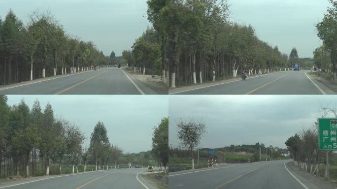 行驶在农村县道