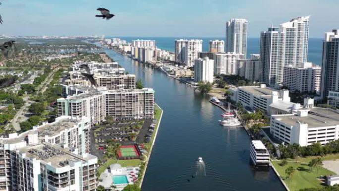 迈阿密海滩运河上的船与一群乌鸦的空中4k镜头