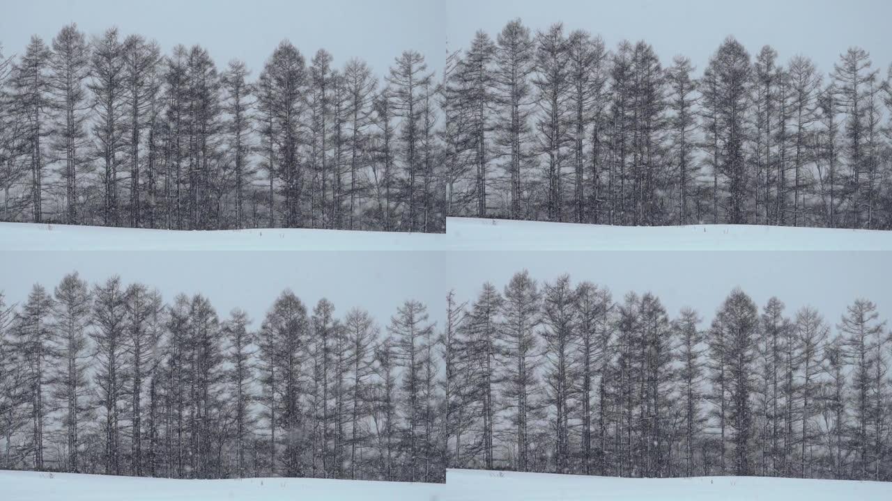 日本的雪花空镜素材浪漫冬天