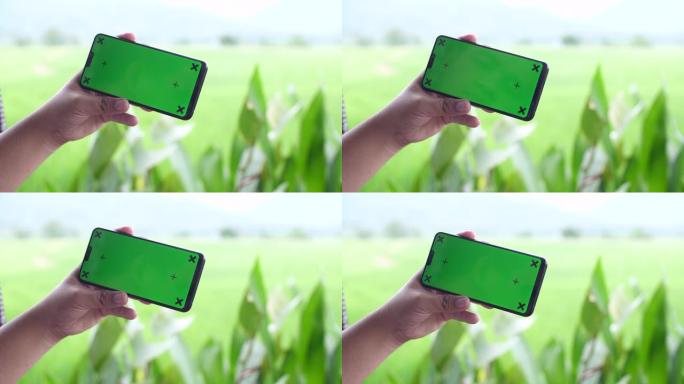 在自然背景中使用绿屏智能手机，色键