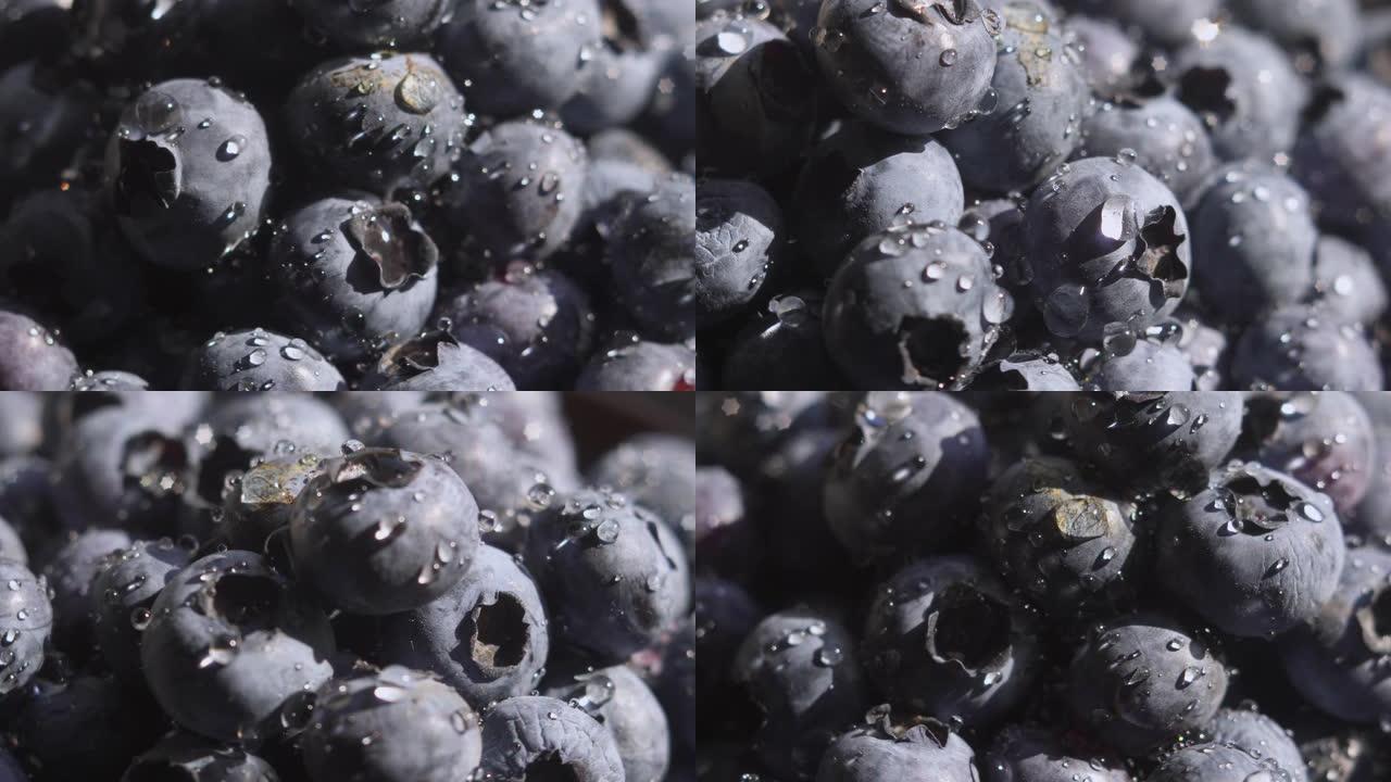 用水滴旋转背景关闭蓝莓。许多成熟的蓝莓都关闭了。有机健康食品。