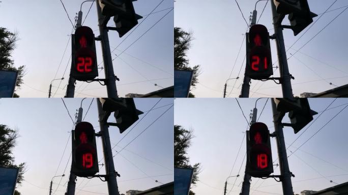 倒计时电线杆上的交通信号灯红灯亮，禁止行人在城市街道上过马路，背景为蓝天和电线的底视图