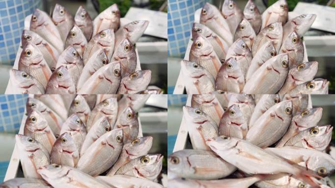 市场柜台上装满鲜鱼的塑料盒。在地中海海鲜集市上出售的健康海鲜
