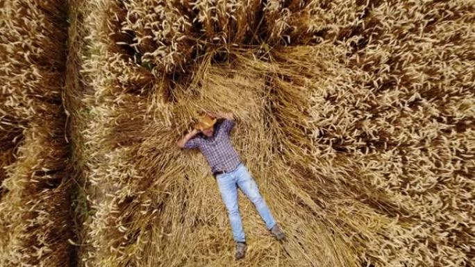 鸟瞰图变焦躺在麦田上的年轻农民。农田自然景观农业。肖像快乐的男性农艺师农民大胡子的男人，穿着格子衬衫