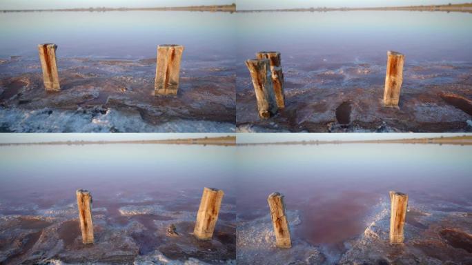 乌克兰粉红盐湖的风景