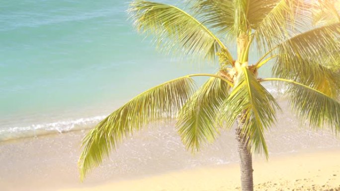 夏威夷热带海滩的美丽景色，4k慢动作60fps
