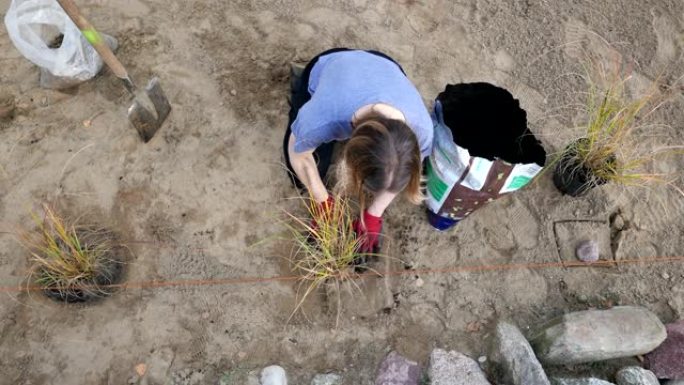 女人在地里挖，种草