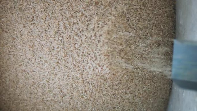 使用自制的迷你碾米机或果壳机堆放有机糙米或未磨米健康食品。