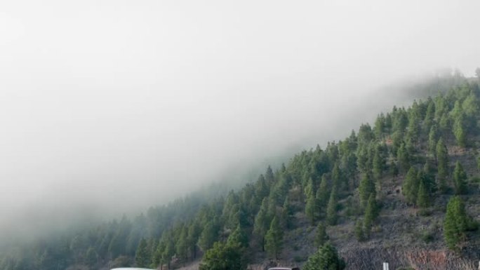 山坡上的常绿森林笼罩在低矮的云层中，形成梦幻般的景观