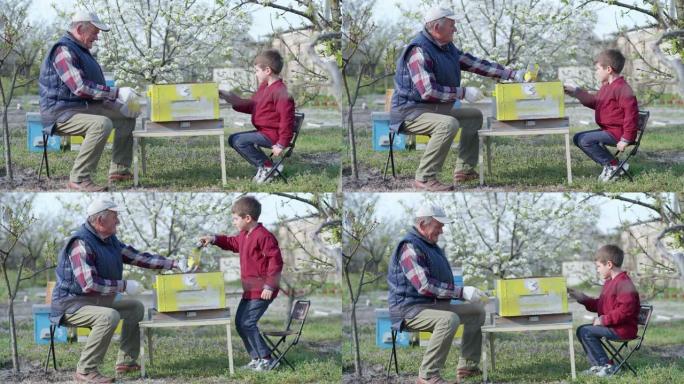 童年快乐，有爱心的祖父和他的助手小男孩在温暖的春日在养蜂场为蜜蜂画黄色油漆蜂箱