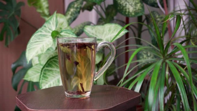 绿色植物背景上的一杯芳香茶。美味的热饮。