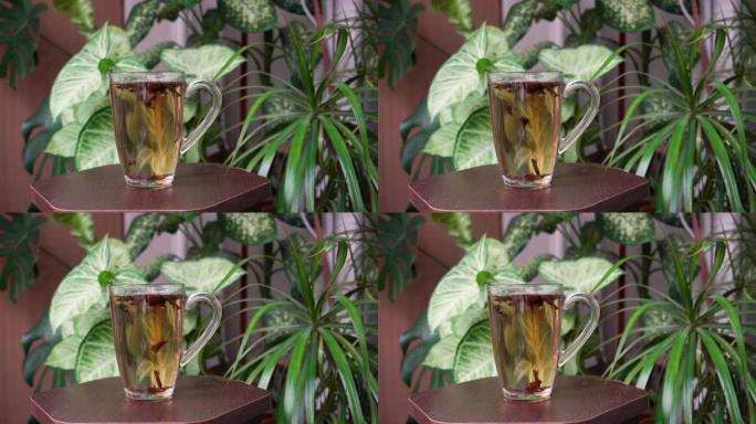 绿色植物背景上的一杯芳香茶。美味的热饮。