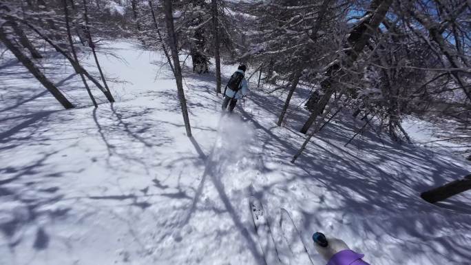 野雪小树林双板滑雪跟拍4K