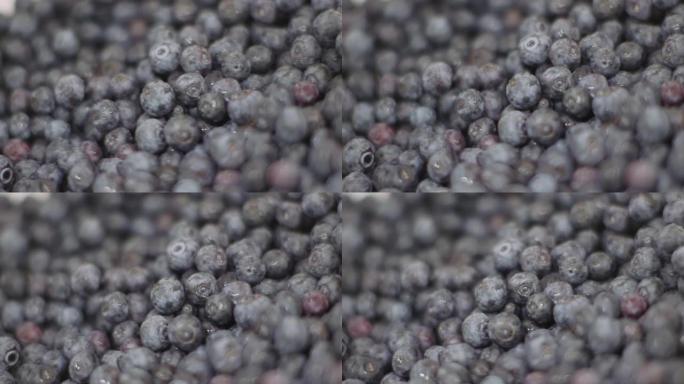 商用厨房-加工蓝莓
