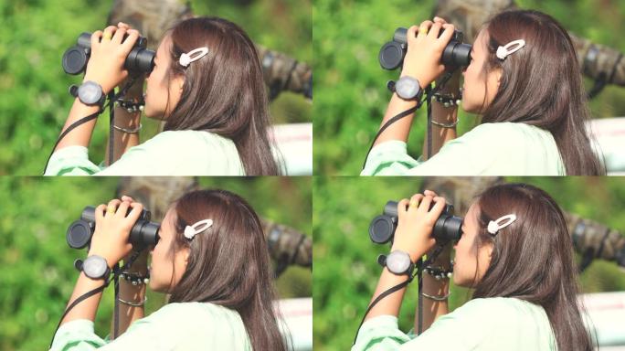 亚洲妇女在森林中使用双筒望远镜的场景，妇女旅行和使用双筒望远镜在森林中寻找鸟类，人们的生活方式户外活