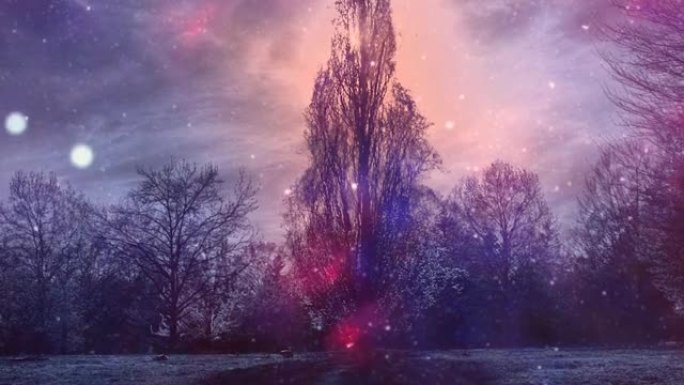 魔法灯光下的树木夜景