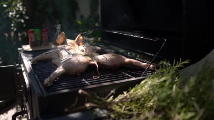 4K，花园屋烧烤全烤猪。家庭烹饪脆皮烤猪肉