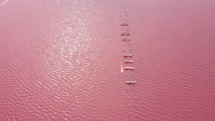 在夏季期间，在粉红色的Sasyk湖上飞行无人机
