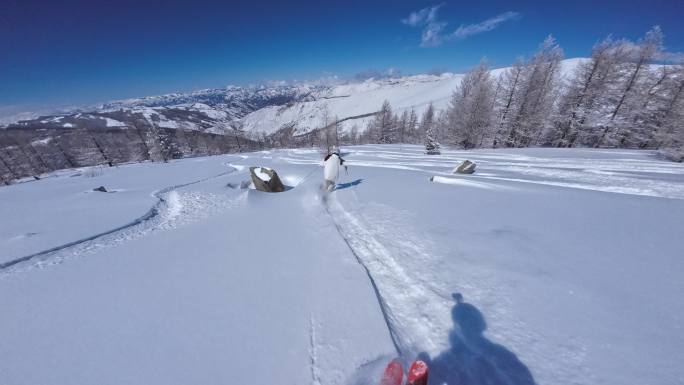 高速野雪粉雪跟拍4K