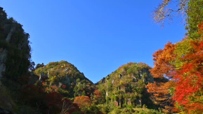 新亚坝峡谷的秋叶。日本大分县Yabakei。