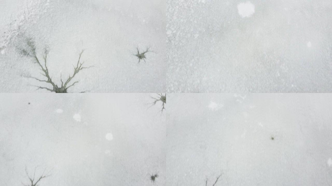 冰冻湖冬季航空无人机视频