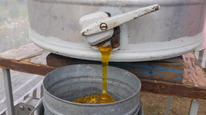 蜂蜜提取器中的蜂蜜通过饲料过滤。蜂蜜从漏勺上的提取器流出。