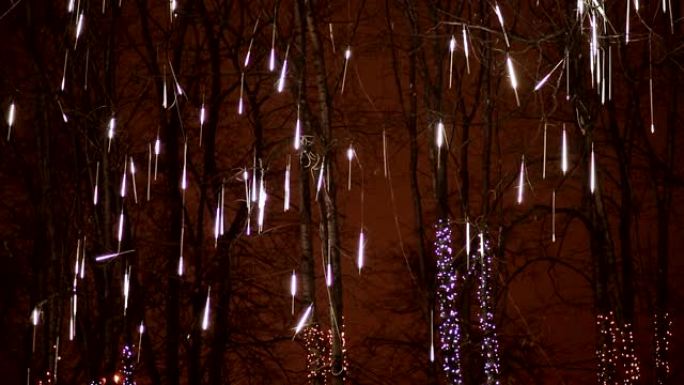 圣诞节。晚上以掉落的形式照亮树木。特写。新年主题