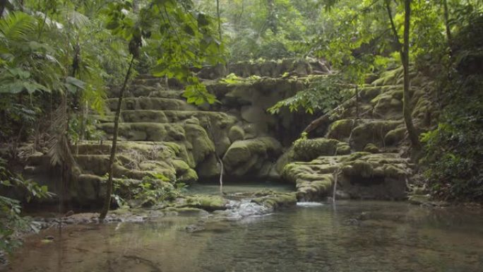 瀑布进入墨西哥帕伦克玛雅遗址旁的绿色野生森林