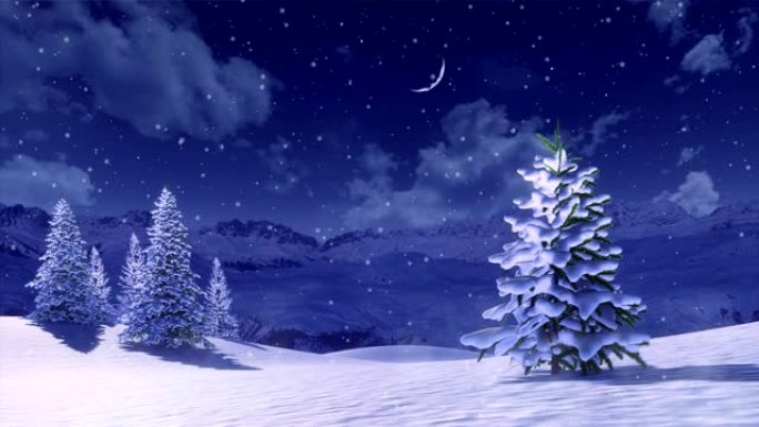 冬天晚上降雪时山上积雪覆盖的枞树
